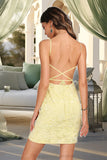 Zoie Bodycon V-Neck Short/Mini Lace Homecoming Dress STIP0020496
