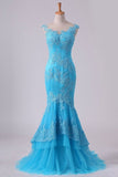 2024 Mermaid Evening Dresses Bateau Tulle With Applique Sweep P1E4NBY6
