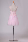 2024 A Line Scoop Tulle With Embroidery Short/Mini Homecoming PTZQH9ML