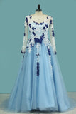 2024 Elegant Evening Dresses V-Neck Tulle With Applique Long Sleeves PHCE6DFK