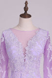 2024 Long Sleeves V Neck Chiffon With Applique And Beads A Line Evening PEQ4G1XL