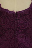 2024 Plus Size Off The Shoulder Lace Evening Dresses Sheath/Column With Applique P58465E6
