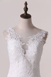 2024 Wedding Dresses Scoop A Line Tulle P6FMSQDC