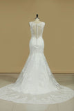 2024 New Arrival V Neck Wedding Dresses Mermaid With PED299HL