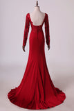 2024 Hot Long Sleeves Prom Dresses Spandex Mermaid With Applique P4F7A1D3