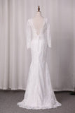 2024 V Neck Long Sleeves Lace Mermaid Wedding Dresses Open Back PAL9XDG5