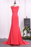 2024 Mermaid Evening Dresses Scoop Open Back Spandex With PNM1JQ6A