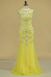 2024 Hot Scoop Prom Dress Beaded And Fitted Bodice Mermaid/Trumpet PDJHS184