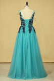 2024 Hot Scoop Prom Dresses Tulle A Line With Applique And P2N1NGC9