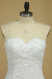 2024 Tulle Sweetheart With Applique Wedding Dresses A Line P1TQNQ1B