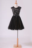 2024 Black Scoop Short/Mini Homecoming Dresses A Line Tulle With Applique And PDA6NT6M