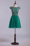 2024 Homecoming Dresses A Line Scoop Short Tulle With Shining P7GR9K8F