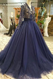 2024 Evening Dresses A-Line V-Neck Long Sleeves Tulle Sweep/Brush With PGSK3M76