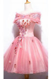 2024 Homecoming Dresses A Line Short/Mini Tulle PGBY531B
