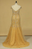 2024 Lace Off The Shoulder With Applique And Beads Sweep Train Prom PY7E21K9