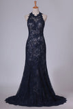 2024 Halter Open Back Sweep Train Lace Mermaid Prom PQY8M4XZ