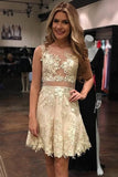 2024 Homecoming Dresses A Line Scoop Tulle With Applique And PKD8247N