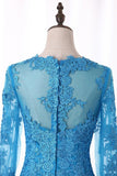 2024 Mermaid Evening Dresses Long Sleeves Scoop Embellished Bodice With P1D3TFDS