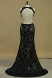 2024 Scoop Open Back Mermaid Lace With Beads PT6K5Q9Y