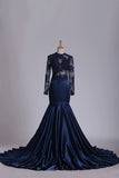 2024 Long Sleeves Scoop Elastic Satin With Applique Evening Dresses P6DNCD8P