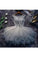 2024 See-Through Homecoming Dresses A Line Scoop PP9X1BFZ