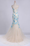 2024 Elegant&Perfect Tulle & Lace Prom Dress Corset PF2PAGZ7
