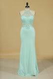 2024 Spandex Mermaid Prom Dresses With PNLSRTHE