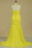 2024 Prom Dress Halter Pleated Bust & Bodice With Shirred Chiffon Skirt Sweep PH6L3QP8