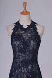 2024 Halter Open Back Sweep Train Lace Mermaid Prom PQY8M4XZ