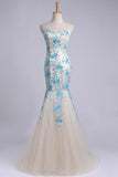 2024 Elegant&Perfect Tulle & Lace Prom Dress Corset PF2PAGZ7