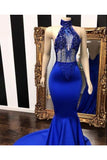 Sexy Evening Dresses Mermaid/Trumpet Halter Appliques Court STIPSM3SECT