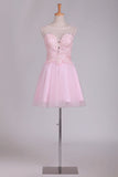 2024 A Line Scoop Tulle With Embroidery Short/Mini Homecoming PTZQH9ML