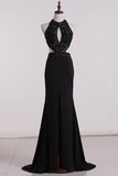2024 See-Through Scoop Open Back Prom Dresses Spandex With PM9MHXZ3