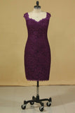2024 Plus Size Off The Shoulder Lace Evening Dresses Sheath/Column With Applique P58465E6