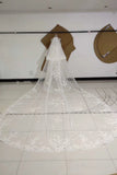 3M Long Embroidered Lace Appliques Tulle Cathedral Veil for Wedding, Wedding Veils STI14988