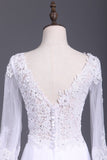 2024 See-Through Prom Dresses V Neck Long Sleeves Chiffon With Applique PGGXYLFX