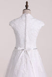 2024 A Line V Neck With Applique Wedding Dresses Tulle Court PQ7S7X4D