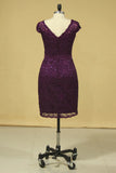2024 Plus Size Grape Modest Lace Evening Dresses V-Neck Sheath/Column With Applique And P14YNPCN