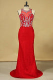 2024 Red Plus Size Prom Dresses Scoop Beaded Bodice Sweep Train P718ALTZ