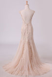 2024 Mermaid Bateau Open Back With Applique Tulle Sweep Train Evening PE46YCM3