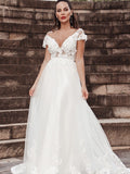 A-Line/Princess Sleeveless Applique V-neck Tulle Sweep/Brush Train Wedding Dresses TPP0006071