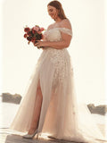A-Line/Princess Tulle Off-the-Shoulder Applique Sleeveless Sweep/Brush Train Wedding Dresses TPP0006878