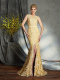 Trumpet/Mermaid Scoop Lace Sleeveless Long Lace Mother of the Bride Dresses TPP0007156